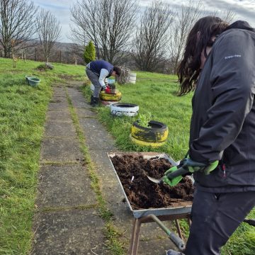 602b0776-541b-4add-800c-354e82f49671